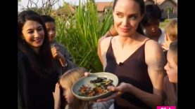 BBC Angelina Jolie teaches her kids how to eat Bugs and Scorpians