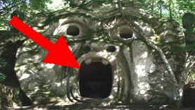 Most MYSTERIOUS Things Found In The Jungle!